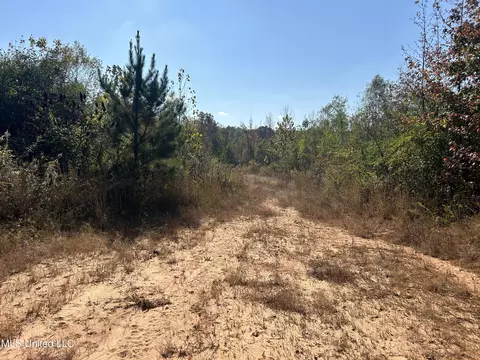 Co Rd 2, Myrtle, MS 38650 photo 33