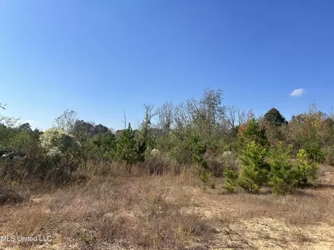 Co Rd 2, Myrtle, MS 38650 photo 41