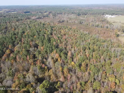 Co Rd 2, Myrtle, MS 38650 photo 13