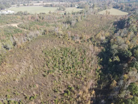 Co Rd 2, Myrtle, MS 38650 photo 19