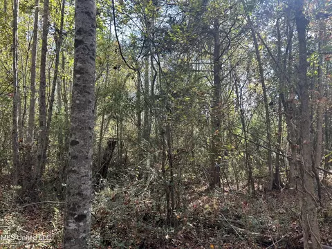 Co Rd 2, Myrtle, MS 38650 photo 32