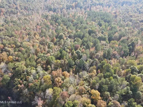 Co Rd 2, Myrtle, MS 38650 photo 5
