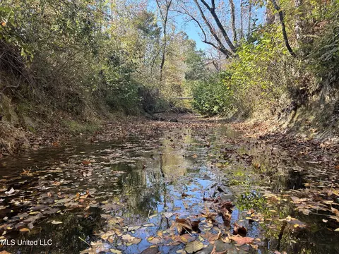 Co Rd 2, Myrtle, MS 38650 photo 37