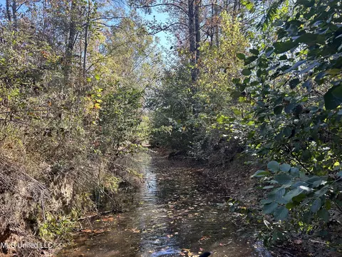 Co Rd 2, Myrtle, MS 38650 photo 39