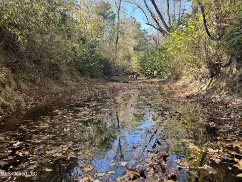 Co Rd 2, Myrtle, MS 38650 photo 35