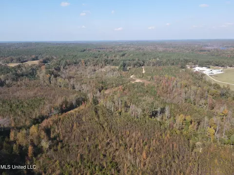 Co Rd 2, Myrtle, MS 38650 photo 16