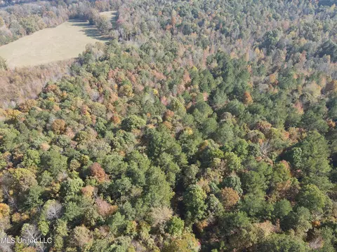 Co Rd 2, Myrtle, MS 38650 photo 7