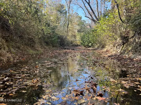 Co Rd 2, Myrtle, MS 38650 photo 36