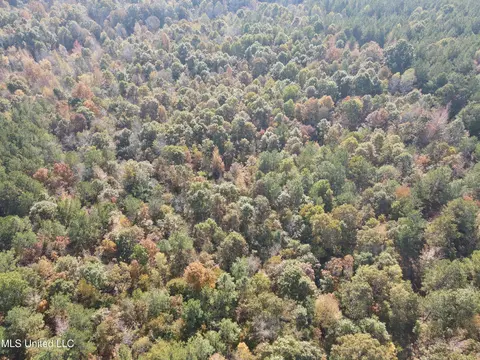 Co Rd 2, Myrtle, MS 38650 photo 8