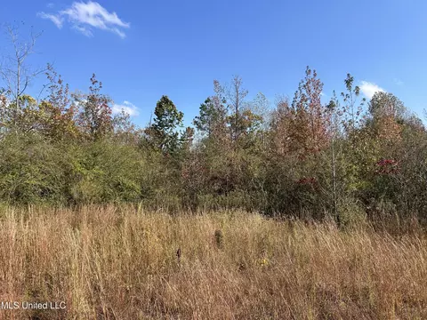 Co Rd 2, Myrtle, MS 38650 photo 31