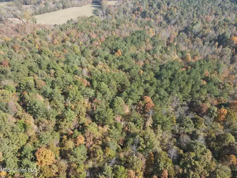 Co Rd 2, Myrtle, MS 38650 photo 10
