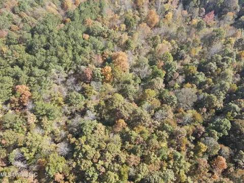 Co Rd 2, Myrtle, MS 38650 photo 11
