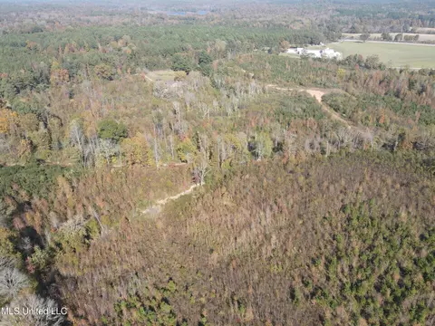 Co Rd 2, Myrtle, MS 38650 photo 18