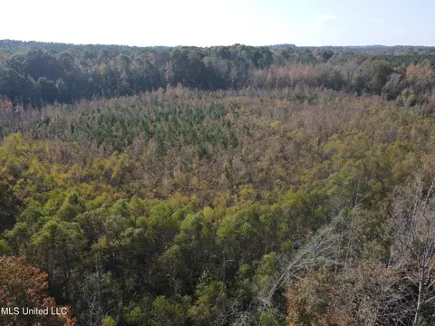 Co Rd 2, Myrtle, MS 38650 photo 2