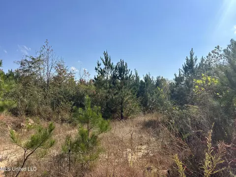 Co Rd 2, Myrtle, MS 38650 photo 27