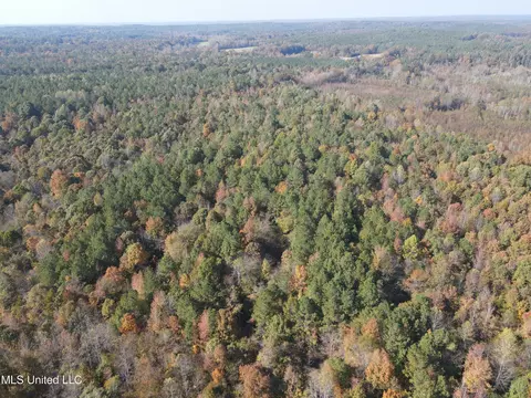 Co Rd 2, Myrtle, MS 38650 photo 14