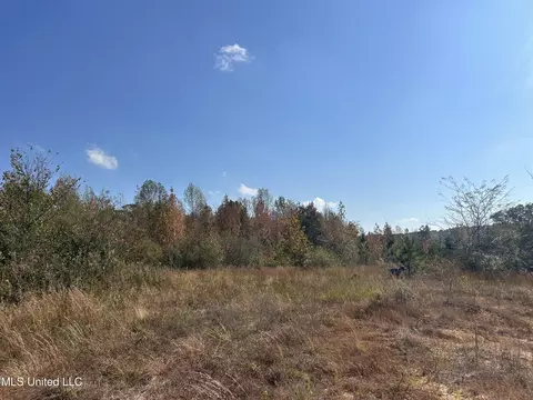Co Rd 2, Myrtle, MS 38650 photo 30