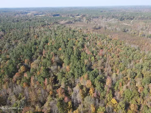 Co Rd 2, Myrtle, MS 38650 photo 12
