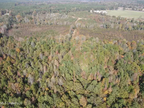 Co Rd 2, Myrtle, MS 38650 photo 9