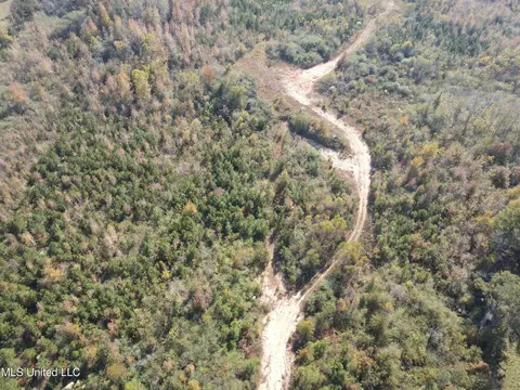 Co Rd 2, Myrtle, MS 38650 photo 21