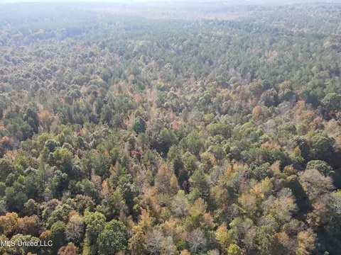 Co Rd 2, Myrtle, MS 38650 photo 4
