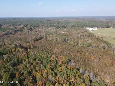 Co Rd 2, Myrtle, MS 38650 photo 15
