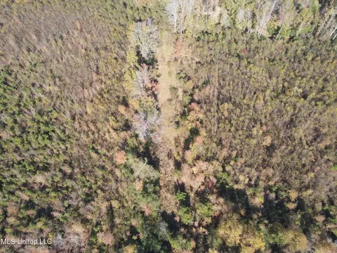 Co Rd 2, Myrtle, MS 38650 photo 17
