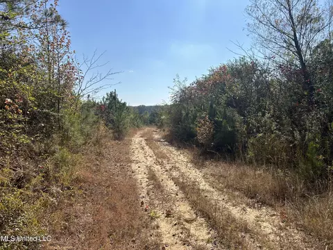 Co Rd 2, Myrtle, MS 38650 photo 25