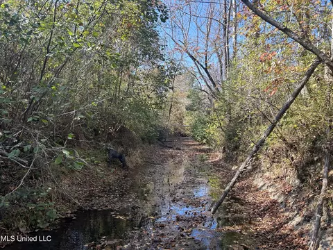 Co Rd 2, Myrtle, MS 38650 photo 34