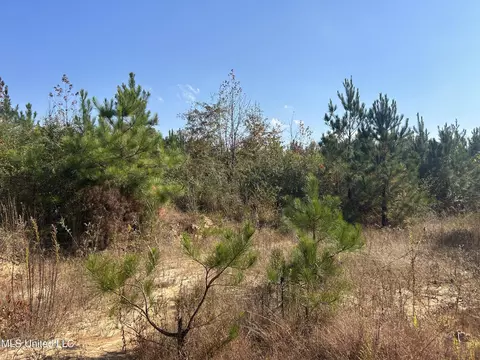 Co Rd 2, Myrtle, MS 38650 photo 28