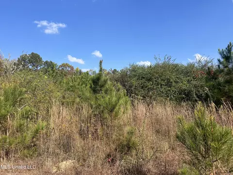 Co Rd 2, Myrtle, MS 38650 photo 26