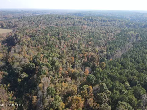 Co Rd 2, Myrtle, MS 38650