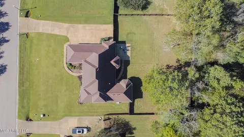 View/Area - 2922 Grove Meadows Dr, Nesbit, MS 38651 photo 3 of 4
