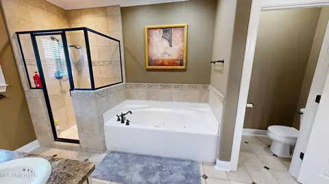 Bath - 2922 Grove Meadows Dr, Nesbit, MS 38651 photo 1 of 3