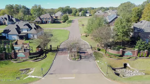 View/Area - 2922 Grove Meadows Dr, Nesbit, MS 38651 photo 4 of 4