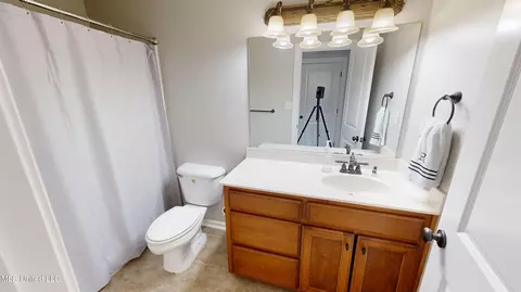 Bath - 2922 Grove Meadows Dr, Nesbit, MS 38651 photo 2 of 3