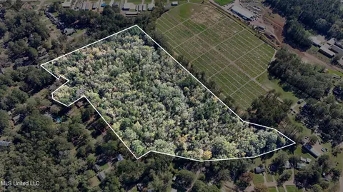 Redwing Avenue, Kosciusko, MS 39090 photo 10