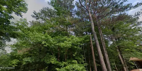 Redwing Avenue, Kosciusko, MS 39090 photo 6
