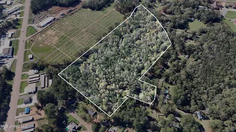 Redwing Avenue, Kosciusko, MS 39090 photo 7