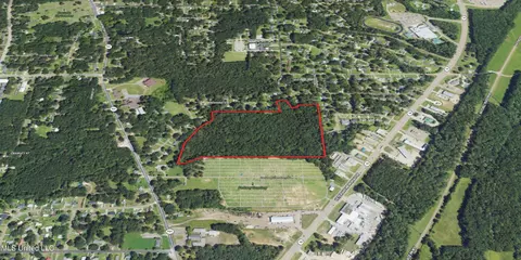 Redwing Avenue, Kosciusko, MS 39090 photo 4