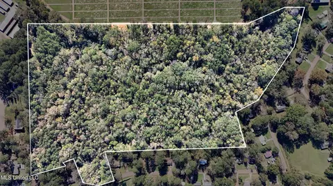 Redwing Avenue, Kosciusko, MS 39090 photo 8