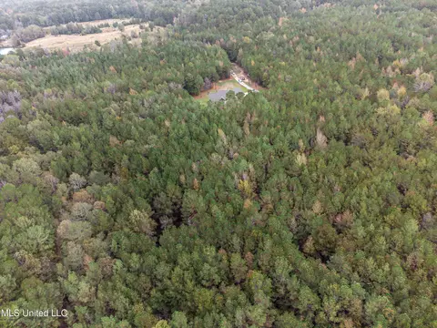 Other - 261 Millville Rd, Canton, MS 39046 photo 5 of 39