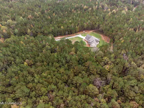 View/Area - 261 Millville Rd, Canton, MS 39046 photo 3 of 17