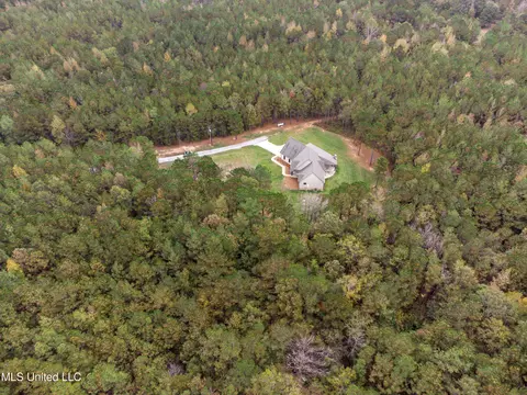View/Area - 261 Millville Rd, Canton, MS 39046 photo 4 of 17