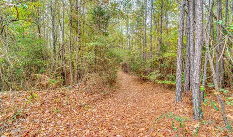 Other - 261 Millville Rd, Canton, MS 39046 photo 32 of 39