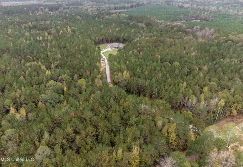 View/Area - 261 Millville Rd, Canton, MS 39046 photo 1 of 17