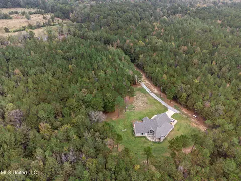 View/Area - 261 Millville Rd, Canton, MS 39046 photo 6 of 17