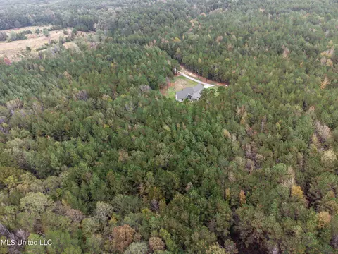 View/Area - 261 Millville Rd, Canton, MS 39046 photo 10 of 17