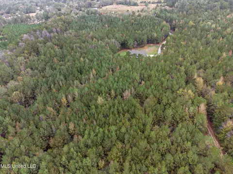 Other - 261 Millville Rd, Canton, MS 39046 photo 7 of 39