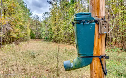 Other - 261 Millville Rd, Canton, MS 39046 photo 36 of 39